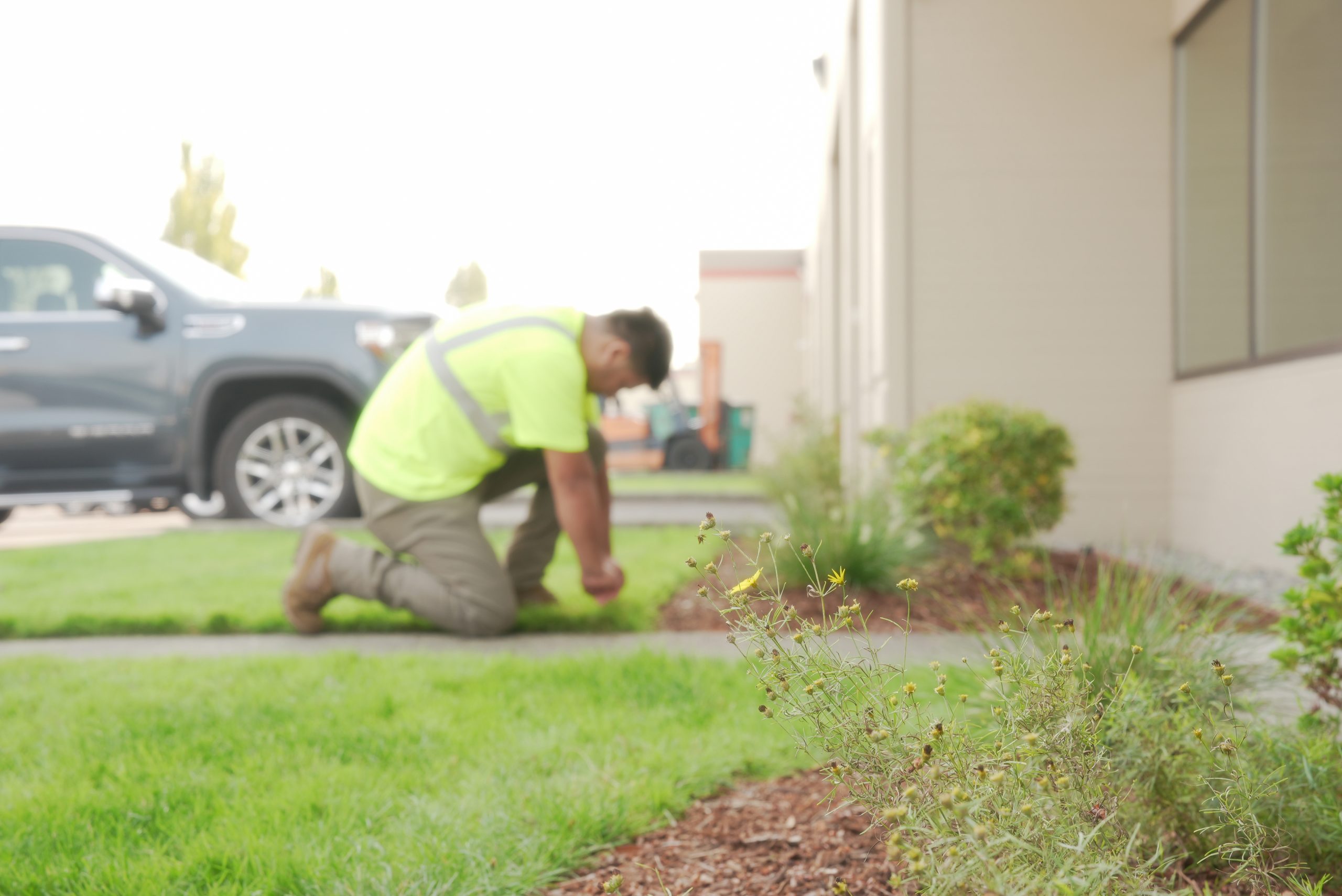 Landscaping Exterior Cleaning Services Landscaping Exterior Cleaning Services