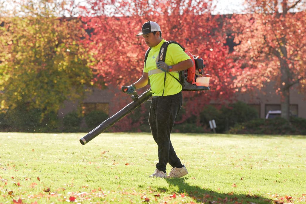 yard cleanup